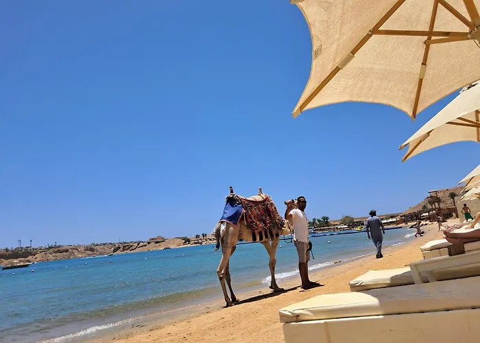 Roby Acqua Marine Coral Bay Şarm El-Şeyh